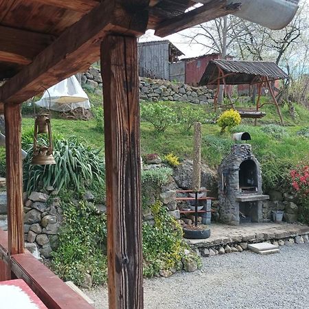Meselak Villa Ocna de Sus Bagian luar foto