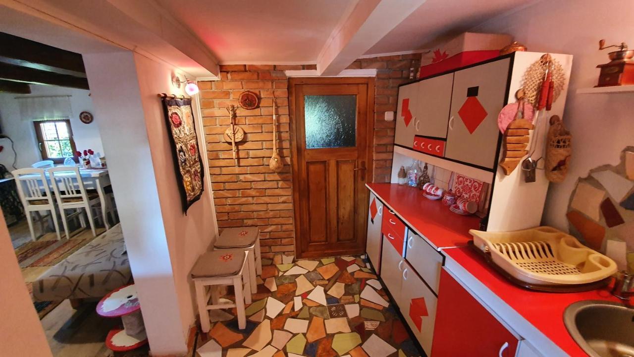 Meselak Villa Ocna de Sus Bagian luar foto