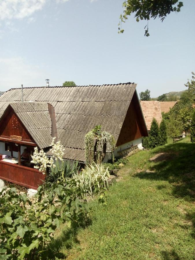 Meselak Villa Ocna de Sus Bagian luar foto