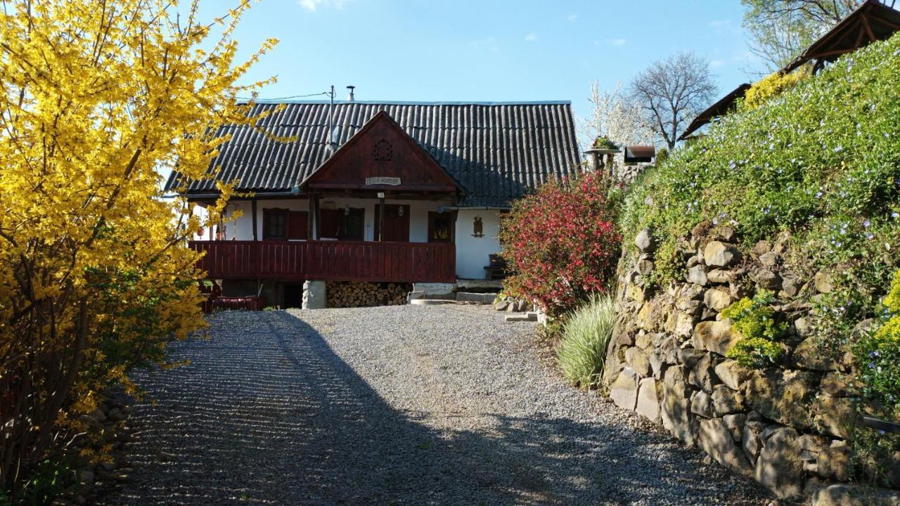 Meselak Villa Ocna de Sus Bagian luar foto