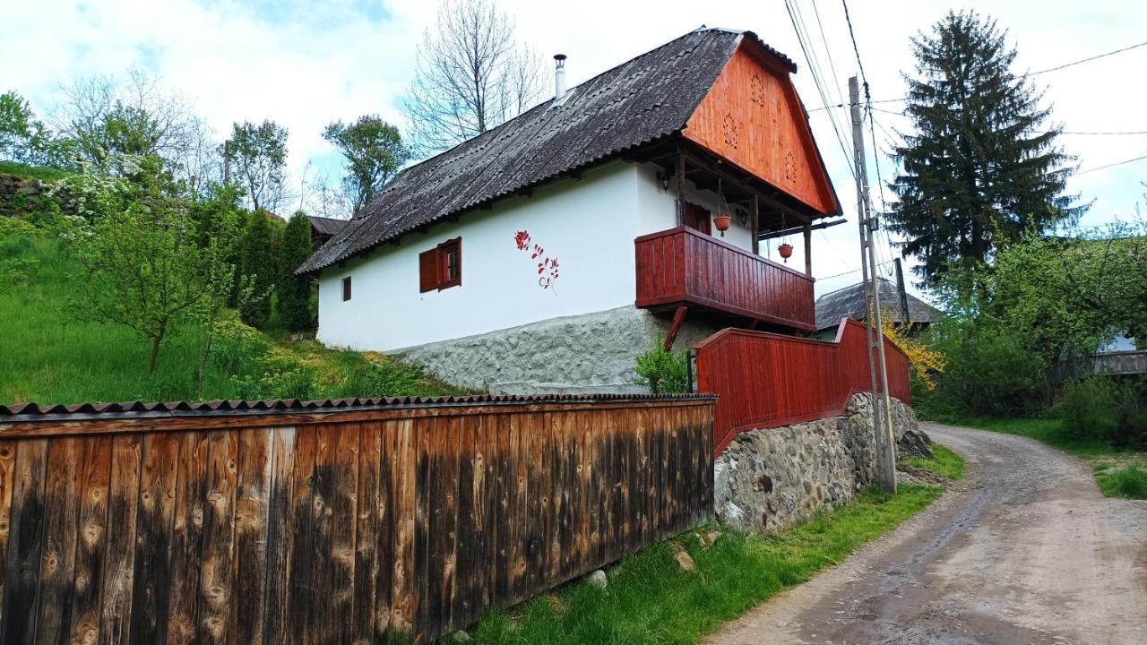 Meselak Villa Ocna de Sus Bagian luar foto